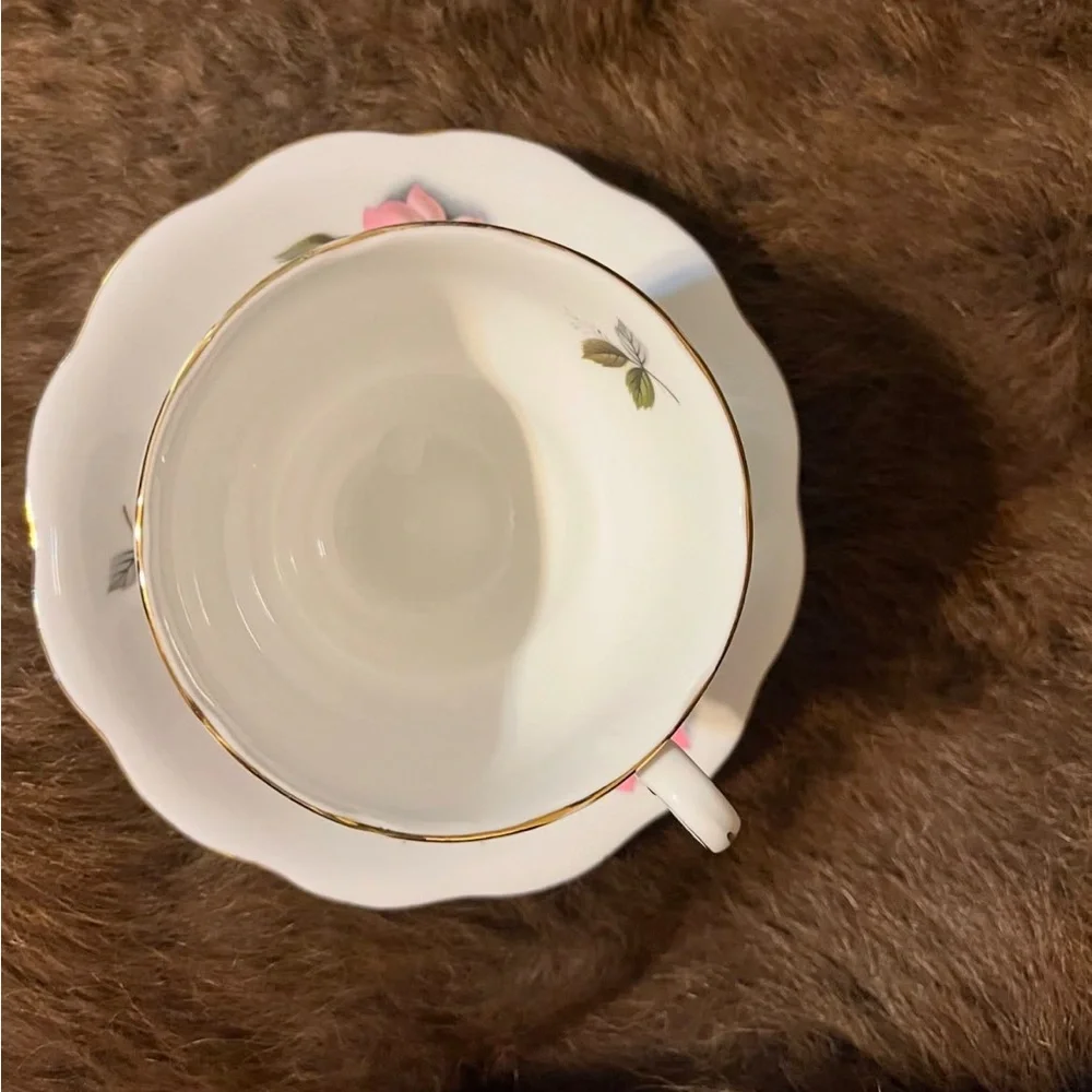 Fine Bone China Teacup & Saucer Set. “Pompadour” style, Royal Standard, England.